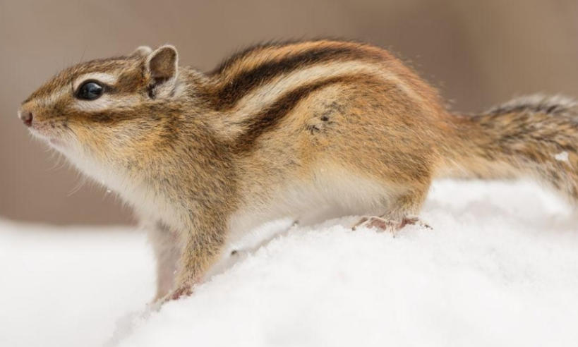 中国贸易电脑公司轮播图1