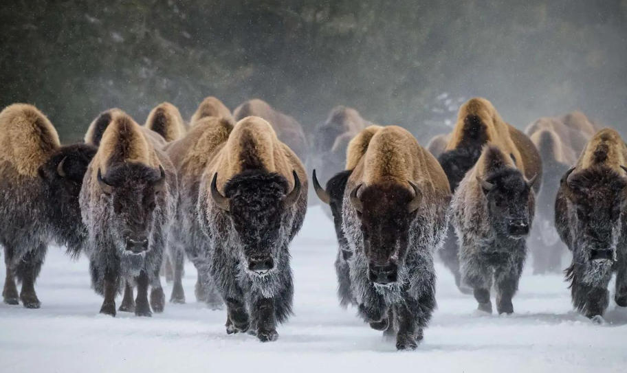 中国贸易电脑公司轮播图2